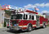 Byfield Ladder 1 2011.jpg (233046 bytes)