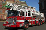 Cambridge Ladder 1 2010.jpg (248033 bytes)