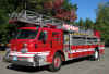 Dalton Ladder 1 2010.jpg (283128 bytes)