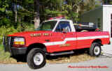 Hanover Forest Fire 1 2008MM.jpg (210015 bytes)