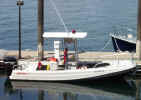 Massport Marine 3.jpg (130464 bytes)