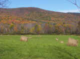 Route 43 Hancock.jpg (327760 bytes)