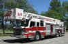 Springfield Ladder 1 2011.jpg (323130 bytes)
